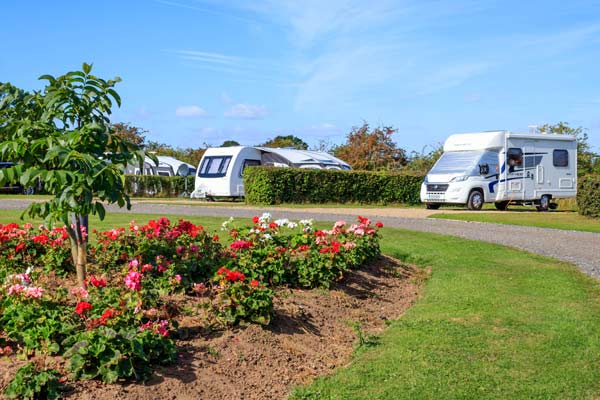 York Caravan Park's Grounds Are Carefully Lanscaped With Flowers And Shubs